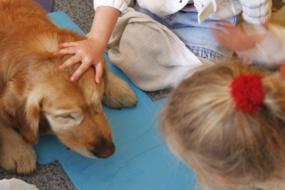 Dogoterapia  czyli pieski u Radosnych Maluchów. fot. Joanna Kowalczyk.