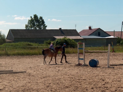 Ostatnia w tym przedszkolnym roku wycieczka Radosnych Maluchów na koniki.