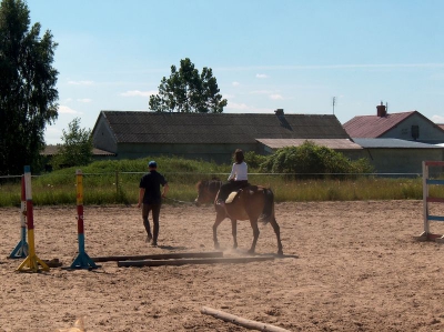 Ostatnia w tym przedszkolnym roku wycieczka Radosnych Maluchów na koniki.