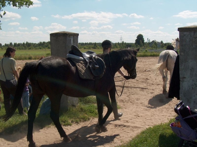 Ostatnia w tym przedszkolnym roku wycieczka Radosnych Maluchów na koniki.