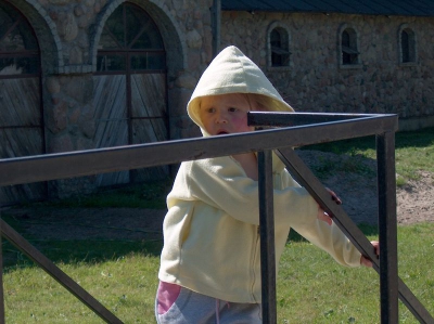 Ostatnia w tym przedszkolnym roku wycieczka Radosnych Maluchów na koniki.