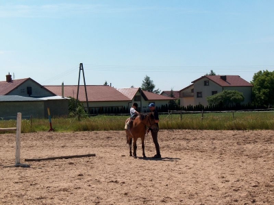 Ostatnia w tym przedszkolnym roku wycieczka Radosnych Maluchów na koniki.