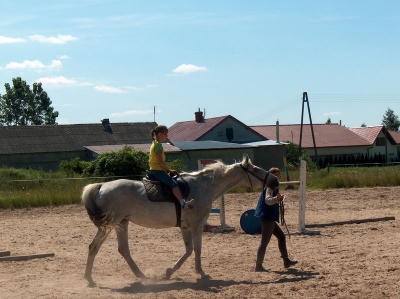 Ostatnia w tym przedszkolnym roku wycieczka Radosnych Maluchów na koniki.