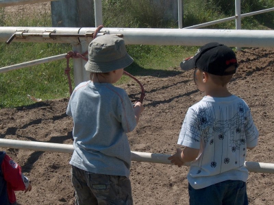 Ostatnia w tym przedszkolnym roku wycieczka Radosnych Maluchów na koniki.