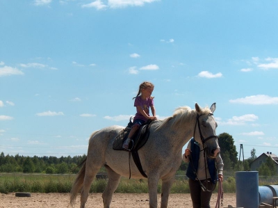 Ostatnia w tym przedszkolnym roku wycieczka Radosnych Maluchów na koniki.