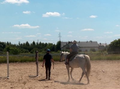 Ostatnia w tym przedszkolnym roku wycieczka Radosnych Maluchów na koniki.