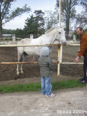 Radosne Maluchy na konikach 2008r.