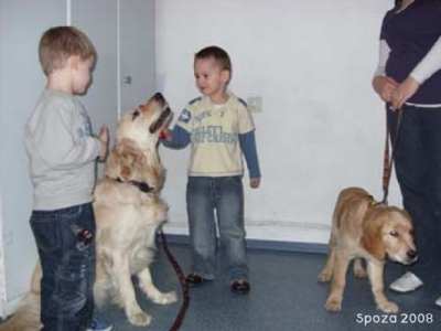 Pieski u Radosnych Maluchów 2008r.