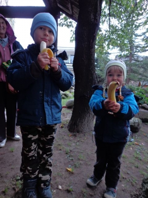 Radosne Maluchy na konikach