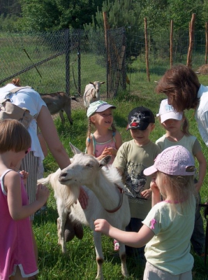 Radosne Maluchy na wycieczce do mini zoo.