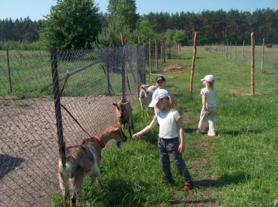 Radosne Maluchy na wycieczce do mini zoo.