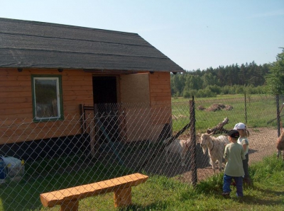 Radosne Maluchy na wycieczce do mini zoo.