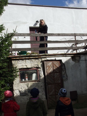 Radosne Maluchy w Stadninie Koni Ławra